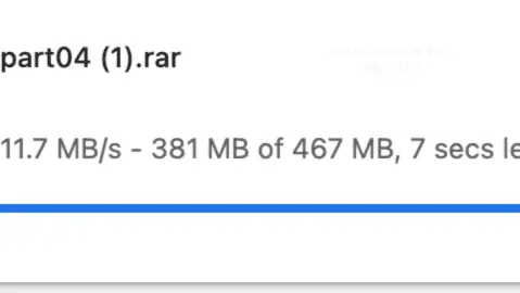 Google Chrome native download manager running a single Alfafile premium file at 11.7 MB/s.
