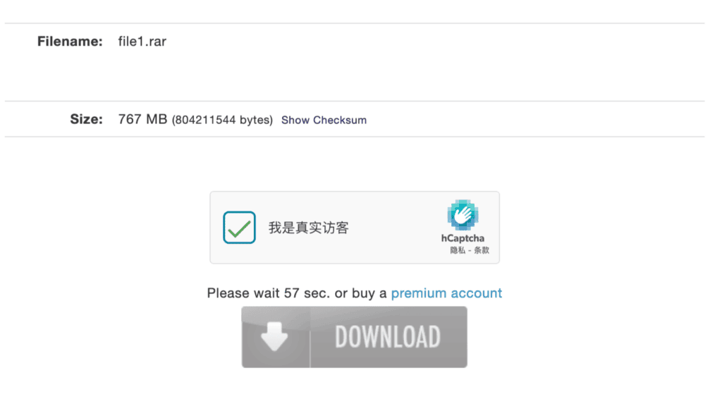 FileSpace free user download interface showing a mandatory waiting gate countdown timer.