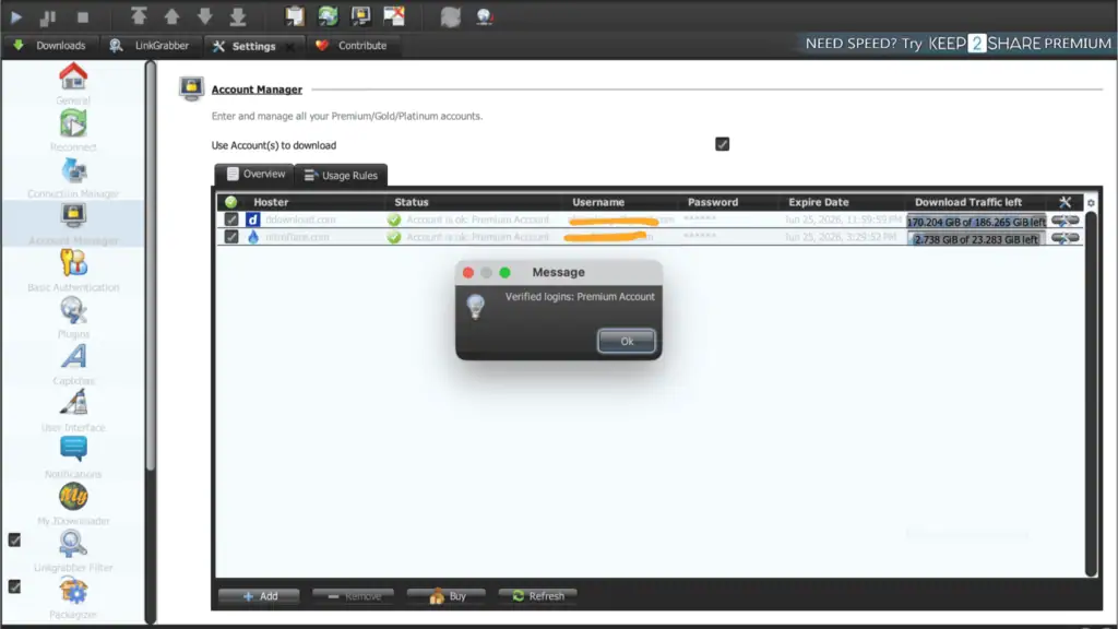 JDownloader 2 dashboard showing a fully verified Rapidgator premium status.