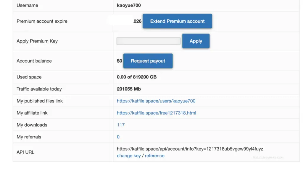 Katfile premium user account overview dashboard displaying a 201055 Mb traffic allowance today line.